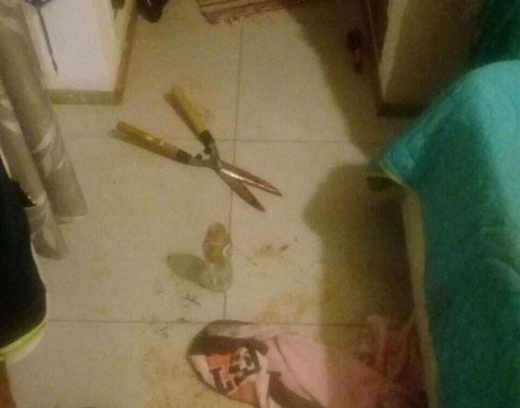 Mujer le corta los genitales a hombre por proteccion