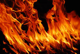 Images (4)