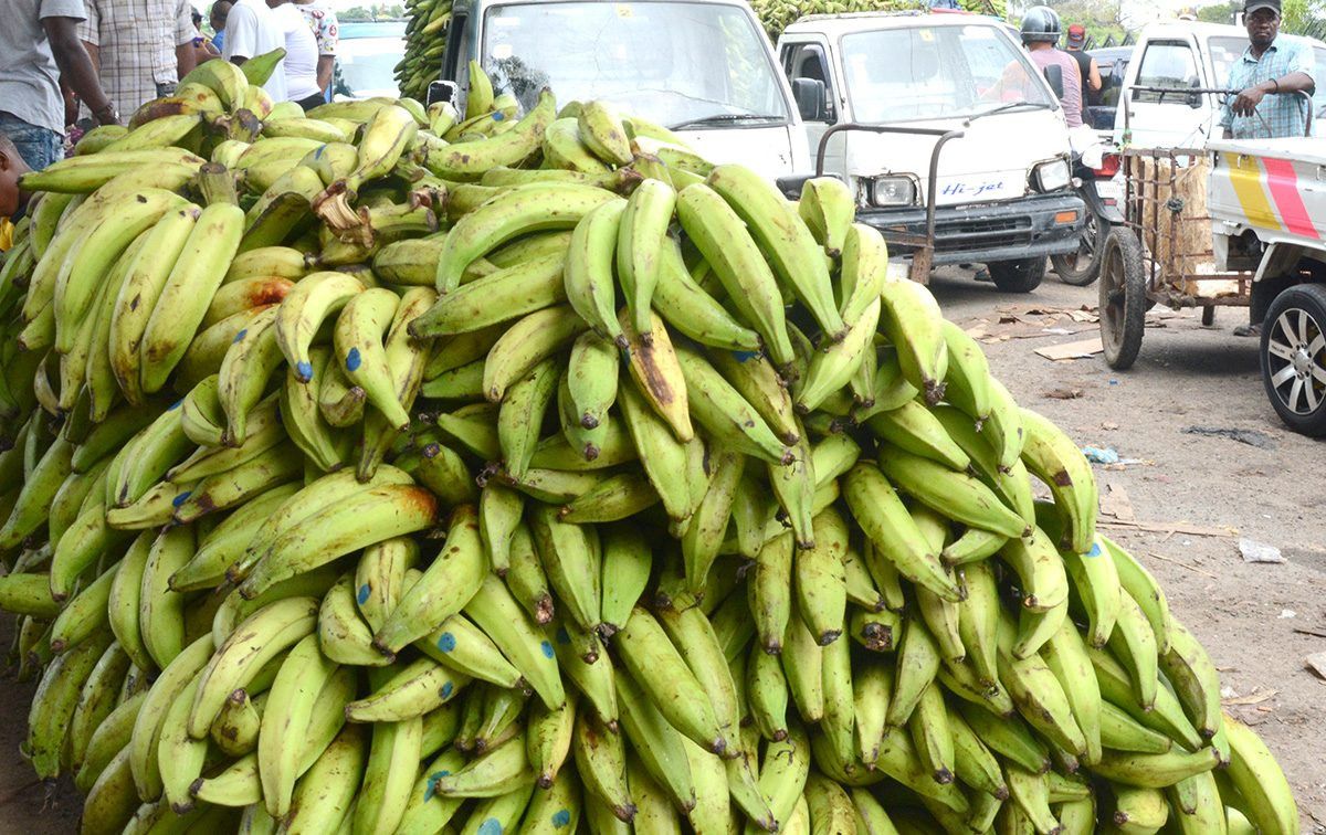 Exportacion de platanos 1200x756