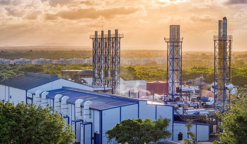 Cepm planta