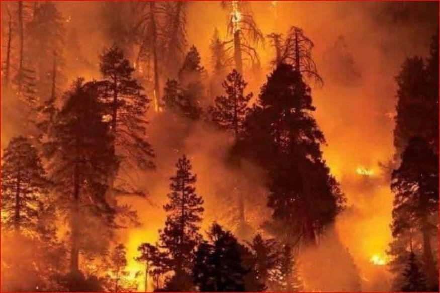 INCENDIOS FORESTALES EEUU
