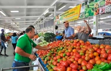 Alimentos aac0115c focus 0 0 375 240