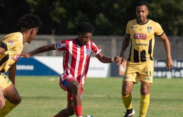 Yordy alvarez 3 944c3fee focus min0.06 0.15 375 240