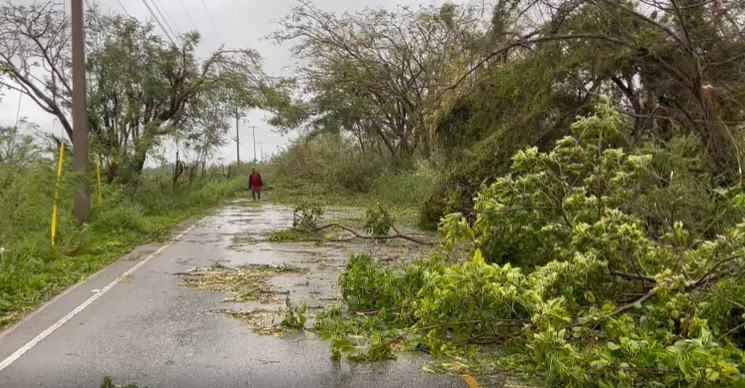 Carretera