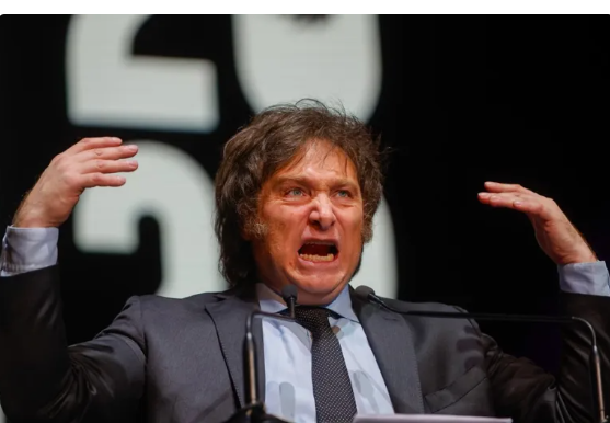 Captura de pantalla 2025 02 17 225420