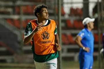 Captura de pantalla 2025 03 09 222827